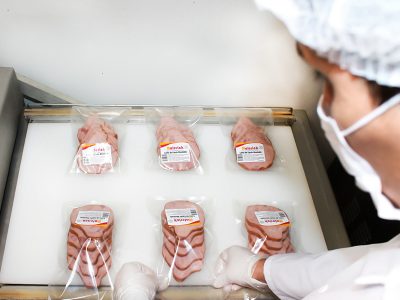 Grupo Malerick Grupo Malerick